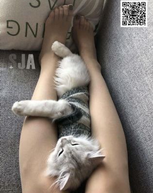 日韩美女后入式动态图_午夜激情