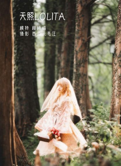 剧情片高清完整版播放_BD韩语高清视频播放