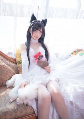91视频在线频观看免费观看_HD电视剧在线观看